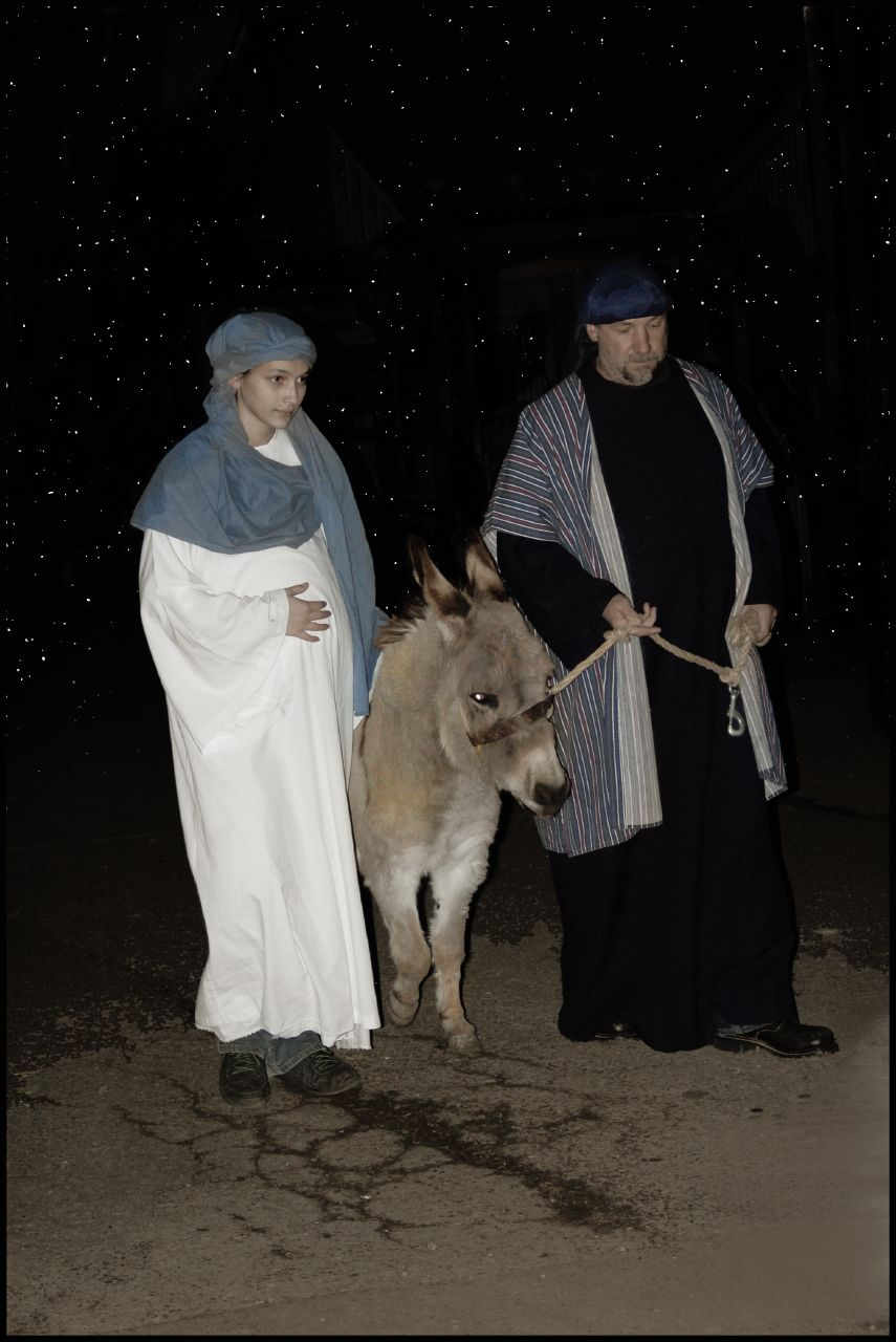 alone for Christmas