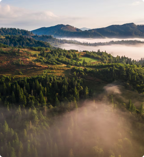 A serene nature scene that reminds you of the calm that counseling can bring to your life
