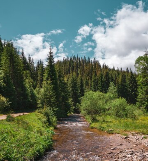 Therapevo