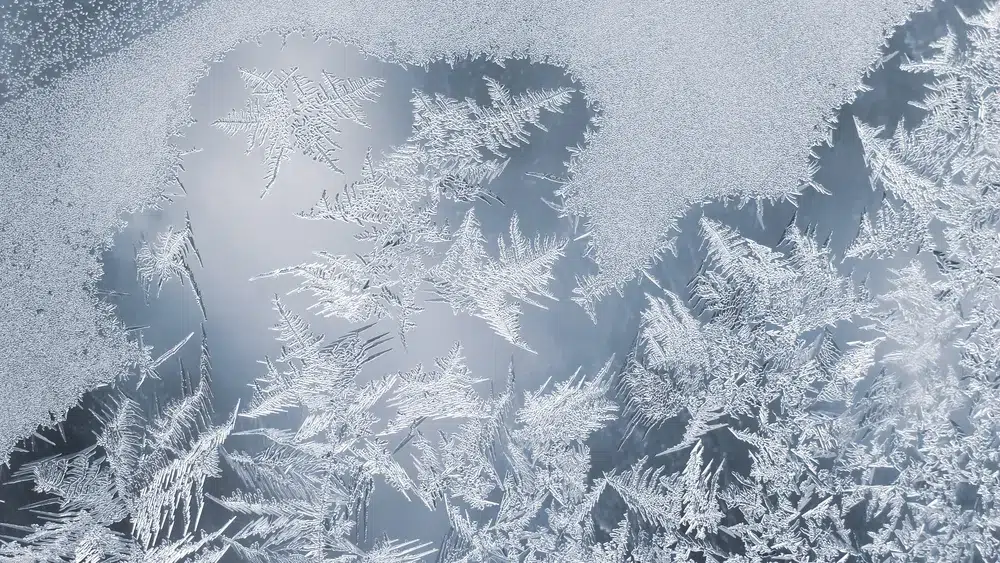 Frost patterns covering a windowpane like the protective freeze response during intimacy after betrayal