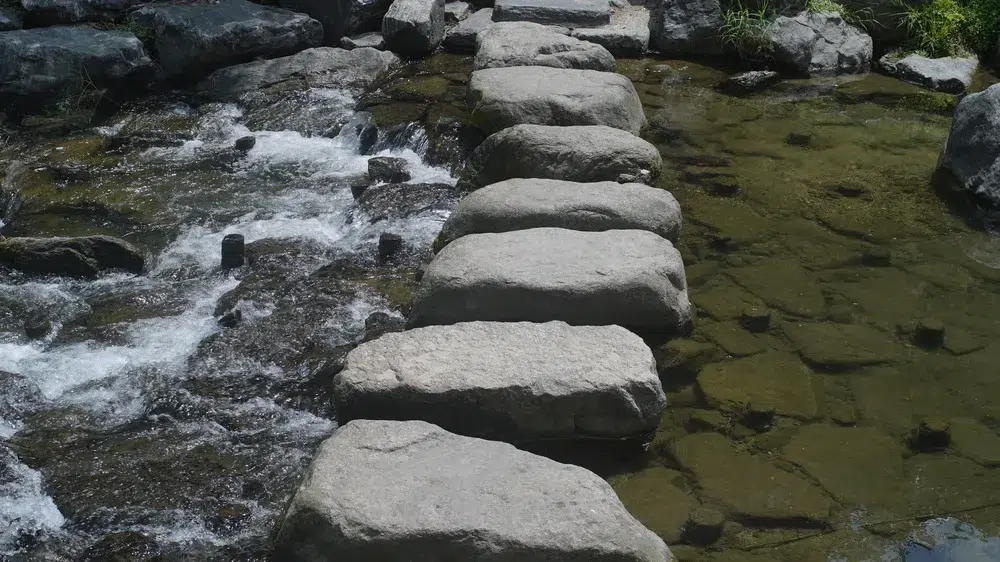 Stepping stones crossing a stream one step at a time like somatic pacing after betrayal