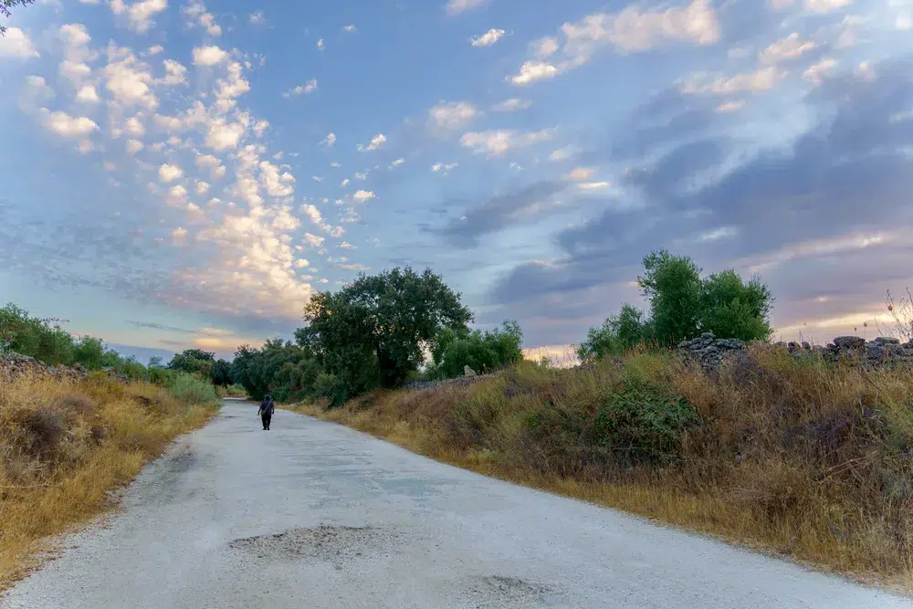 A lone person walking down a long gravel country road under a wide morning sky, choosing a direction