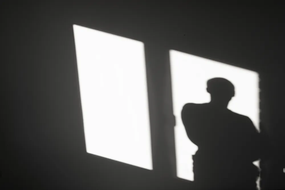Shadow of a person standing at a sunlit window, an image of the hidden self behind the question why do I lie